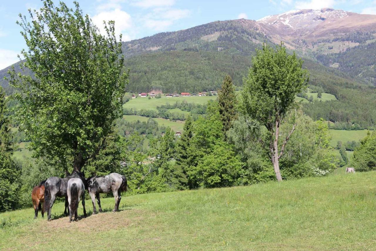 Ferienwohnung Zur Alpenruhe Seeboden am Millstätter See Exterior foto